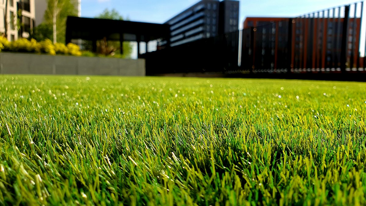 Outdoor areas around Salt Lake County homes where pests enter